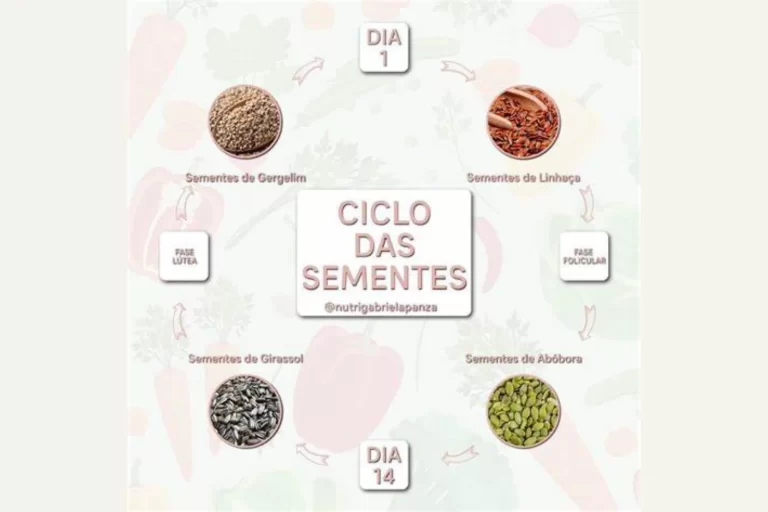 Equilíbrio hormonal feminino – CICLO DAS SEMENTES